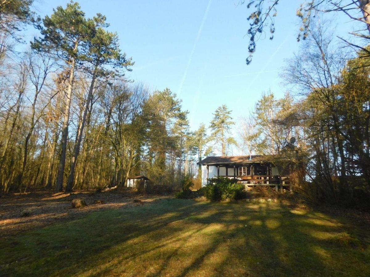 Chalet Des Pins D'Autriche Comblain-Fairon Exterior photo